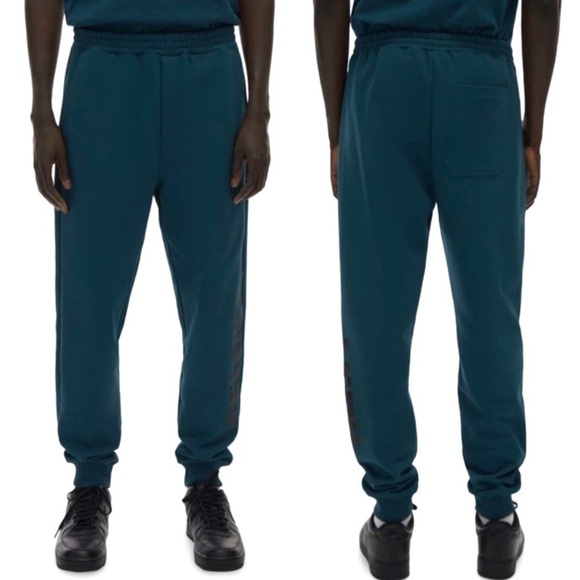 Helmut Lang Slim Logo Jogger Pant Drawstring Sweatpants Neptune Teal Small - Picture 2 of 16